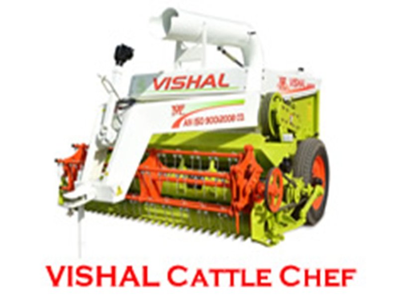 vishal cattle chef